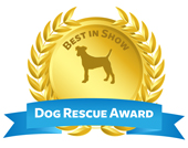 dog_rescue_award